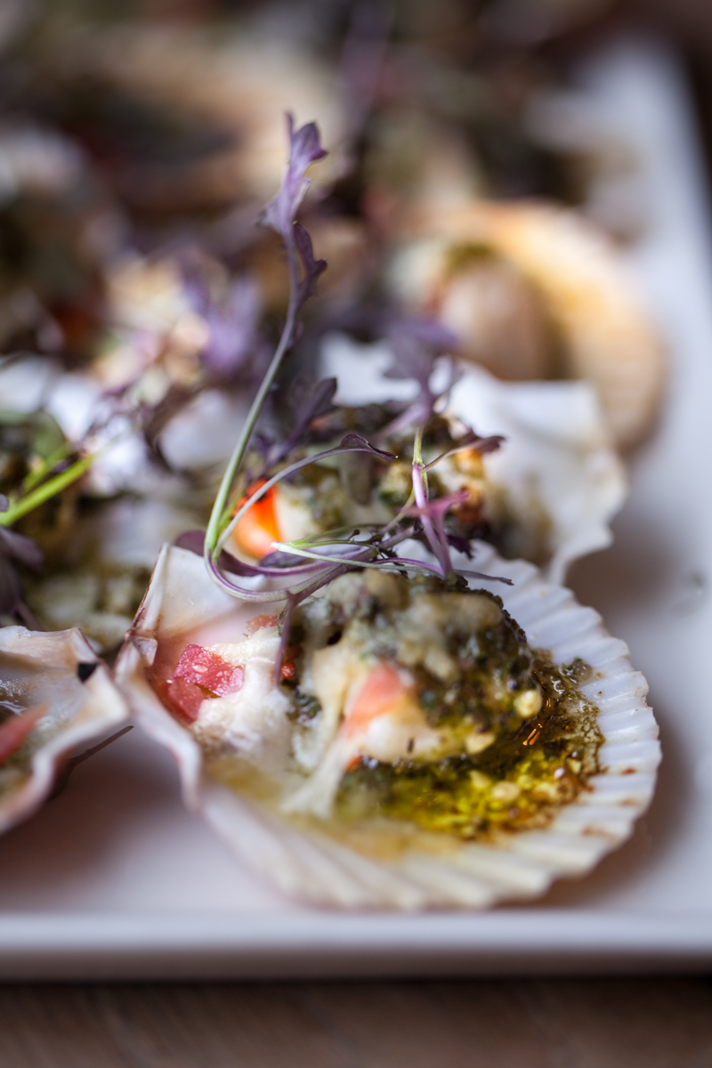 Queen Scallops with Ham and Hazelnut Pesto Squidbeak